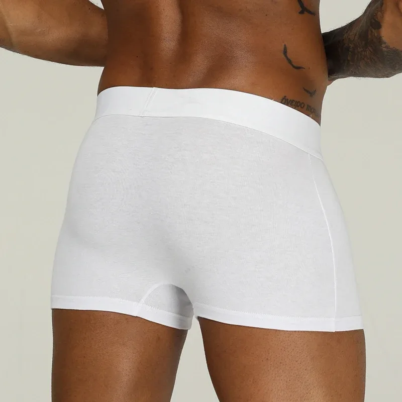 Men Underwear Boxer Cotton Floor Price Mens Underpants Comfortable Underwear Male Panties Breathable U Pouch Men Shorts — image 2