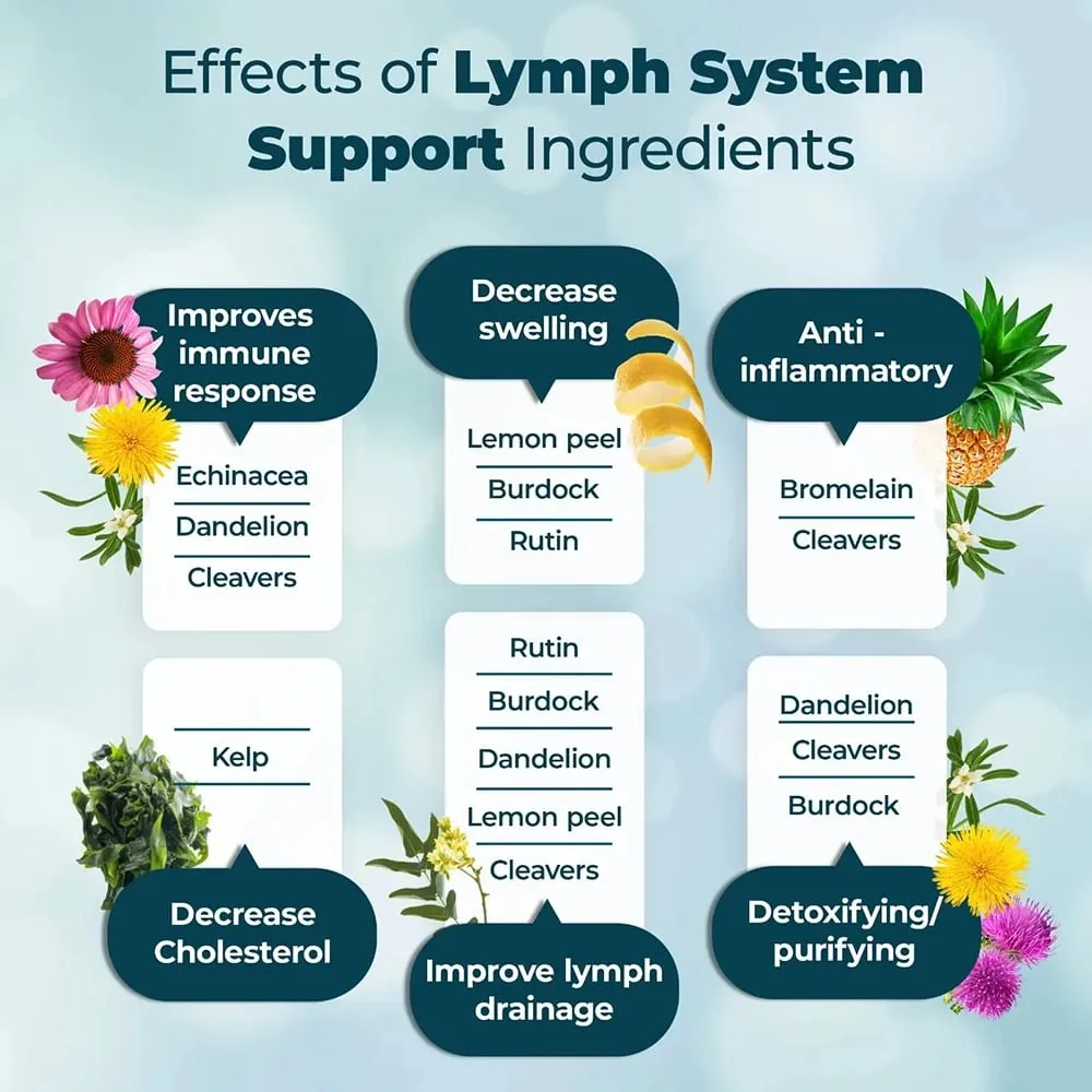 Lymphatic System Support Supplement - with Dandelion Extract — image 2