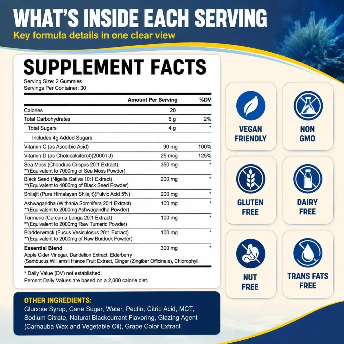 HalmanLabs Sea Moss Black Seed Oil Gummies with Vitamin C and Vitamin D for Immune Health and Vital Mineral Support 60 Gummies — image 3