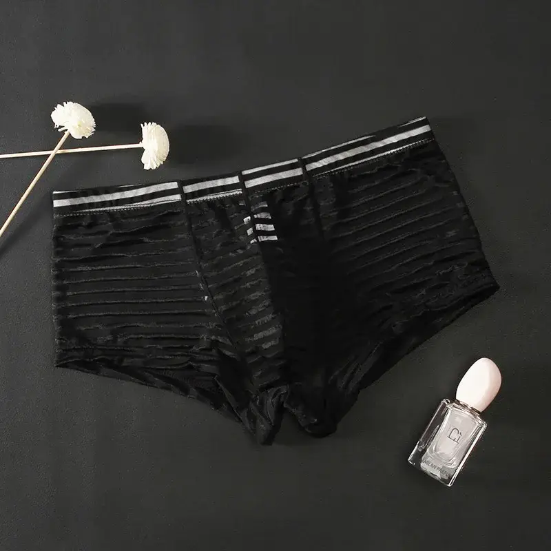 Transparent Underwear Sexy Men Ice Silk Striped Boxer Trunk Breathable Underpants U Convex Pouch Panties Man Boxer Briefs Short — image 11