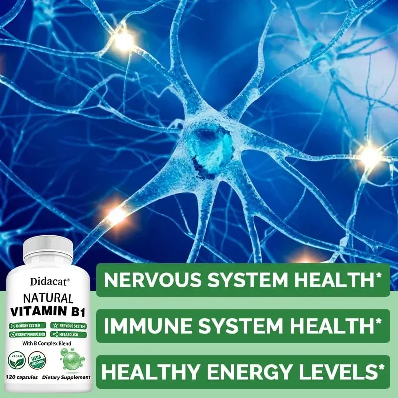 Didacat Vitamin B1 Helps The Immune System Nervous System Energy Support Dietary Supplement — image 2