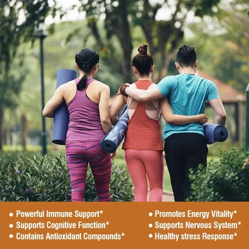 Mushroom Complex Capsules - with Lions Mane Chaga Reishi Cordyceps - Support Immune System Memory Focus and Relieve Stress — image 6
