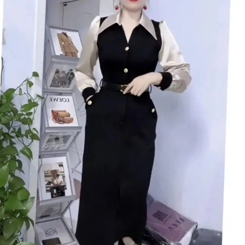 Spring Autumn New Fashion POLO Collar Long Sleeve Patchwork Women's Clothing Color Blocking Button Temperament Thin Slim Dresses — image 2