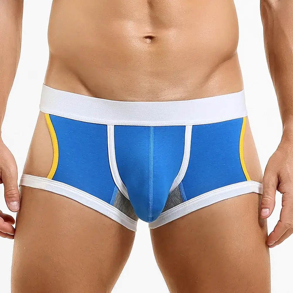 Men's Low-Waist U-Shape Flat Briefs Underwear Trendy Side-Light Design Comfortable Innerwear for Men — image 6