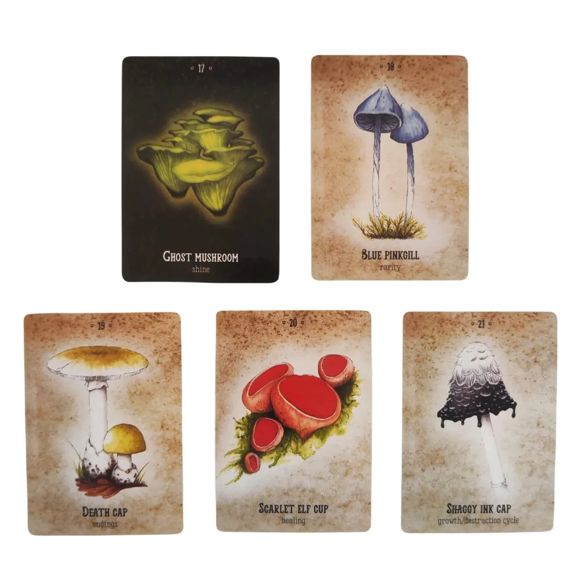 Mushroom Spirit Oracle Cards Board Games — image 3