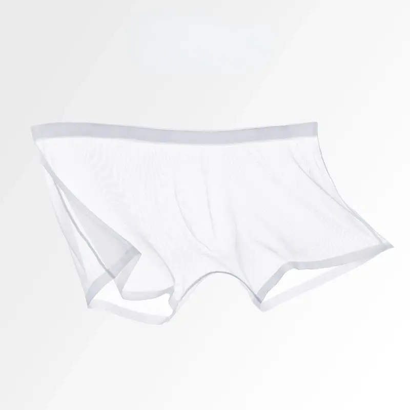 Men's Underwear Transparent Boxers Bulge Ice Silk See Through Underpants Sexy Briefs Low Waist Panties Lingerie Intimates