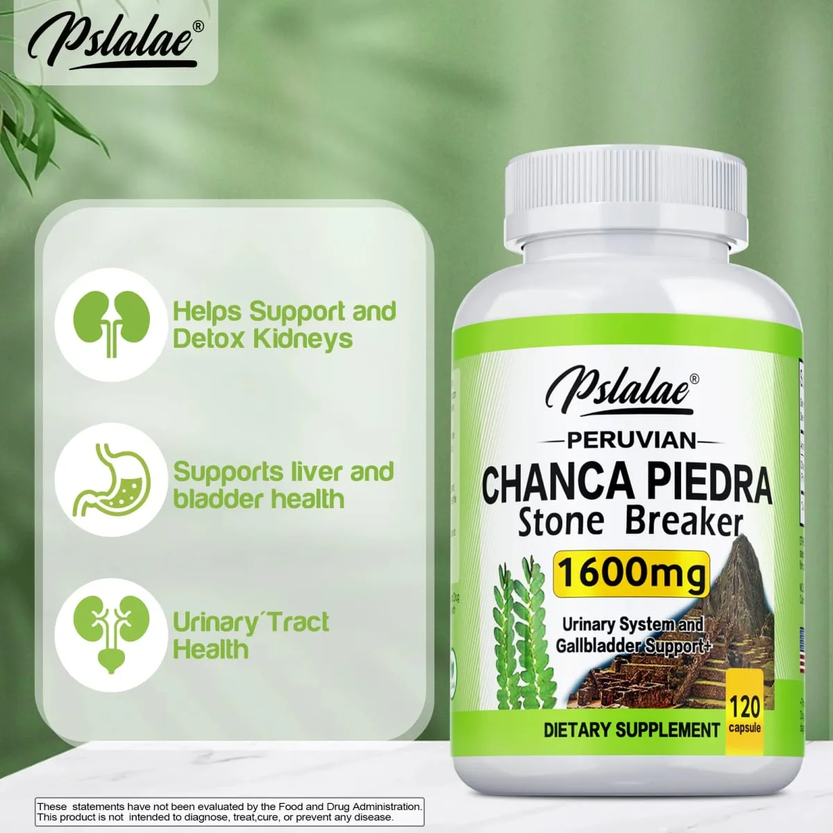 Chanca Piedra 1600mg - Kidney & Bladder Health Cleansing & Detoxification Urinary Support — image 5