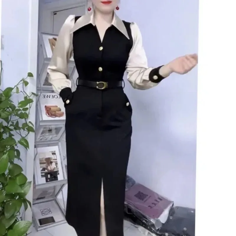 Spring Autumn New Fashion POLO Collar Long Sleeve Patchwork Women's Clothing Color Blocking Button Temperament Thin Slim Dresses — image 3