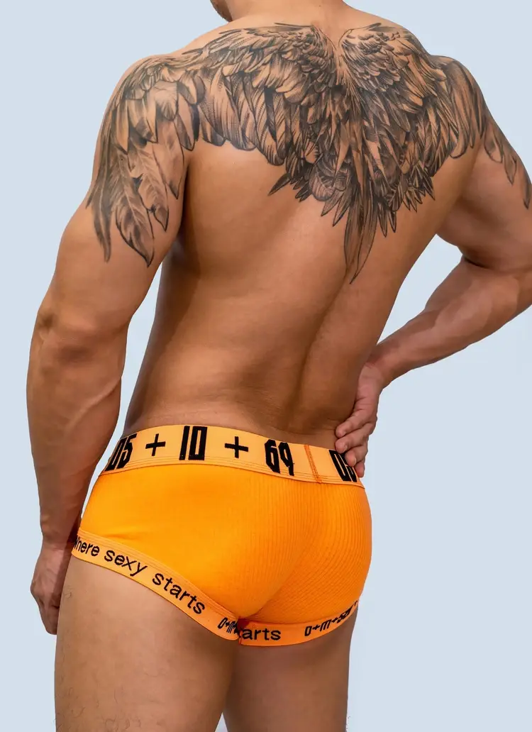 Male Underwear Gay Underpants Boxer Ropa Interior Hombre Cueca Masculina Solid Boxer Homme Underwear Boxer Para Hombre Bielizna