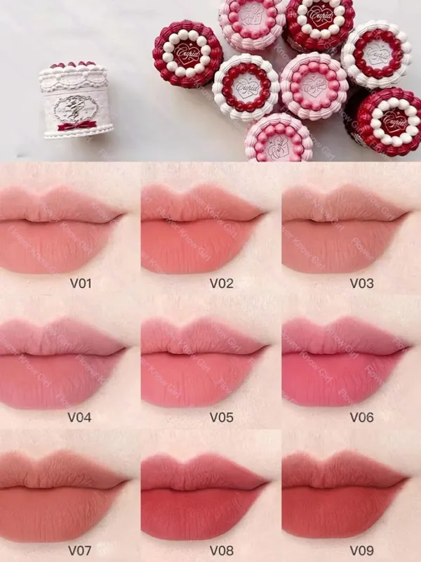 FlowerKnows ALL IN ONE Makeup Set Full Professional Face Palette Blush Desktop Mirror Eyeshadow Contour Lip Cream — image 6