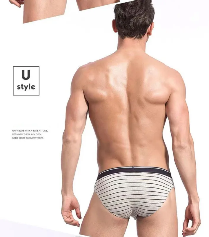 4Pcs/lot Cotton Briefs Men's Sexy Underwear Comfortable Underpants Breathable Panties Solid Shorts Male Lingerie Free Shipping — image 17