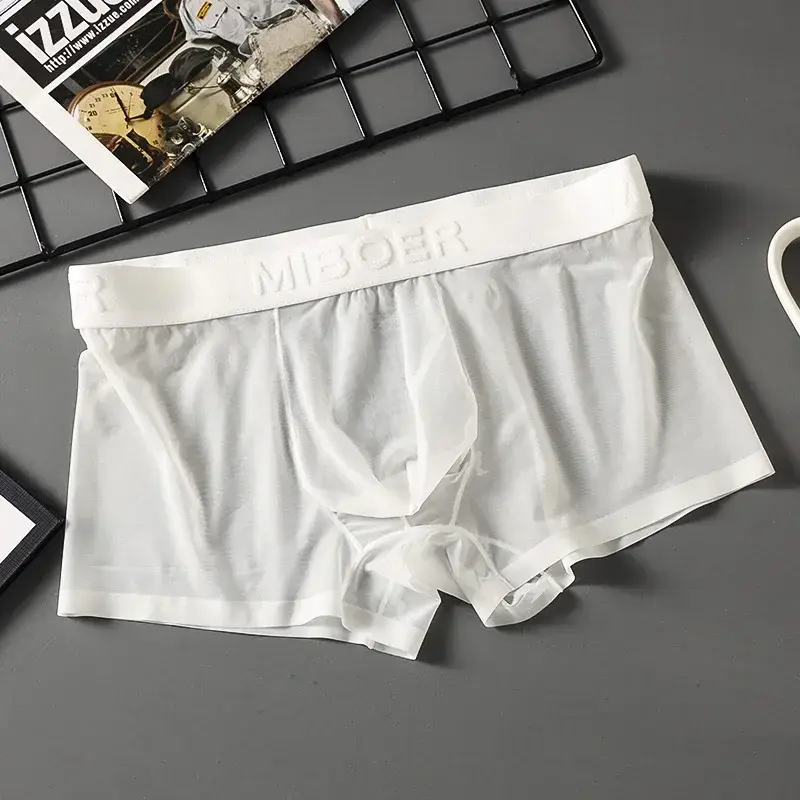 Mens Underwear Breathable Mesh Boxer Shorts Low Waist Boxers Breathable Mesh Classic Panties — image 6