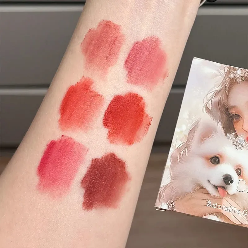 6 Colors Matte Velvet Lip Mud Sers Waterproof Lasting Nude Liquid Lipstick Red Lip Tint Nourishing Lip Clay Cosmetic Kits — image 5