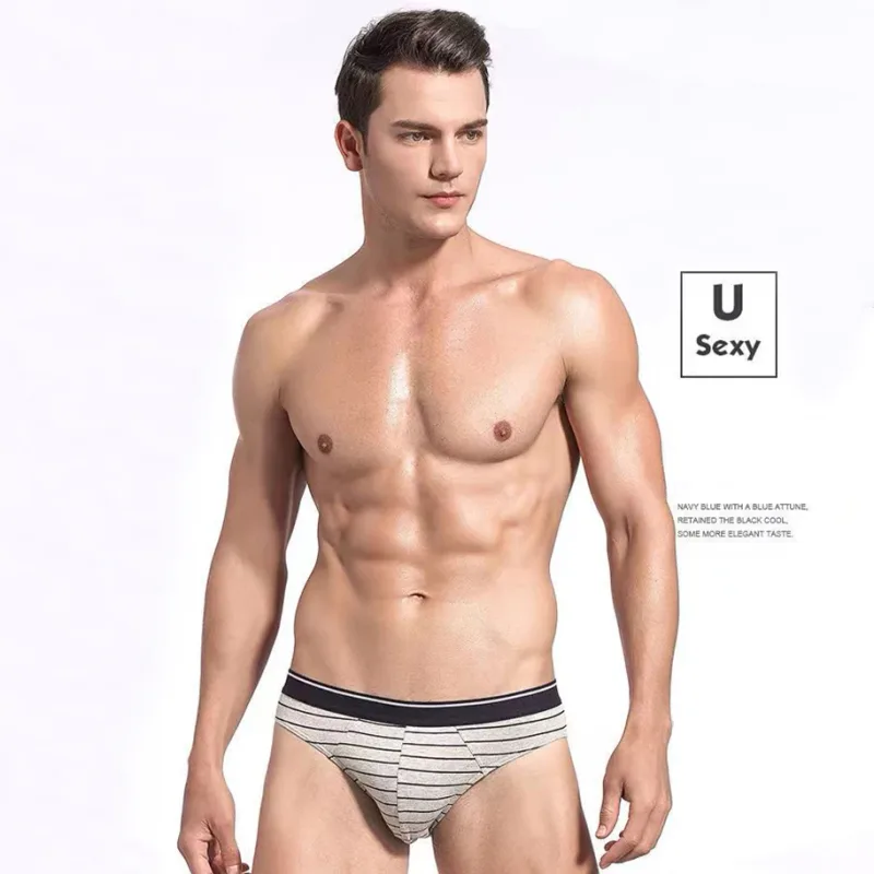4Pcs/lot Cotton Briefs Men's Sexy Underwear Comfortable Underpants Breathable Panties Solid Shorts Male Lingerie Free Shipping — image 2