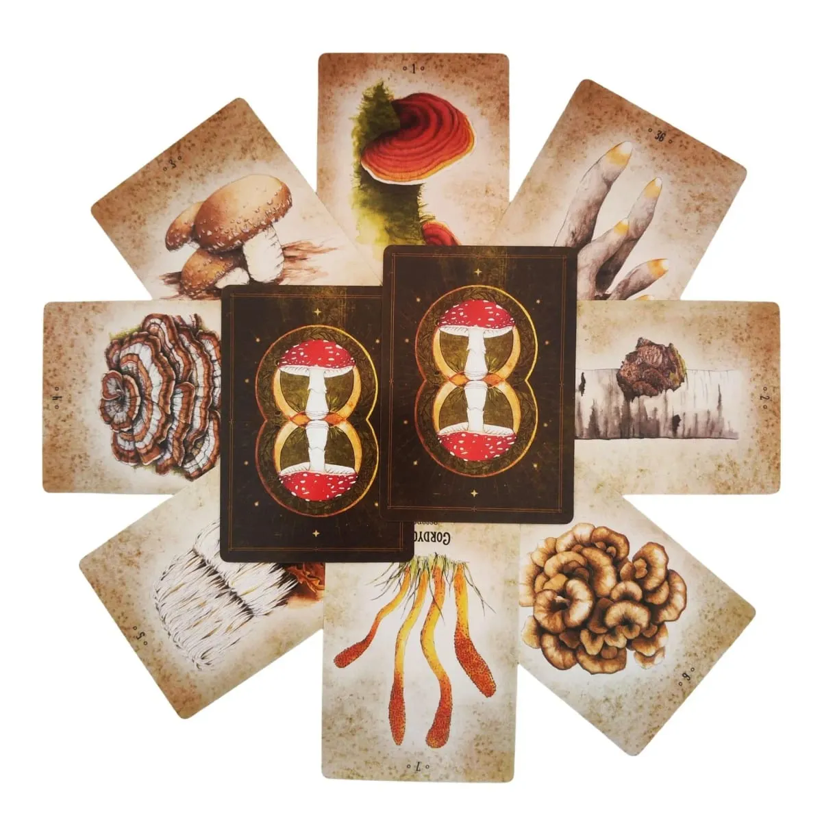 Mushroom Spirit Oracle Cards Board Games — image 4