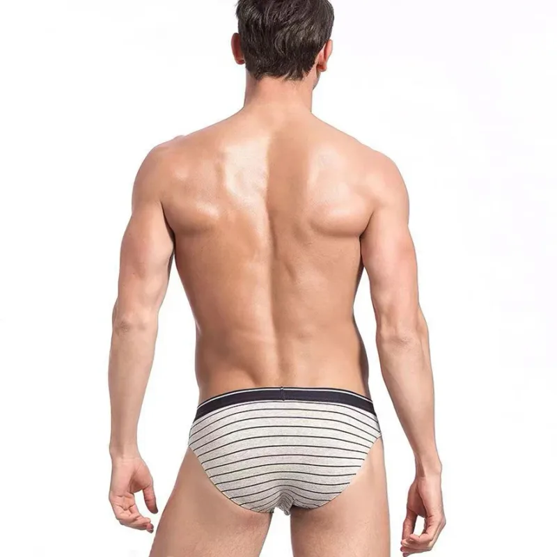 4Pcs/lot Cotton Briefs Men's Sexy Underwear Comfortable Underpants Breathable Panties Solid Shorts Male Lingerie Free Shipping — image 3