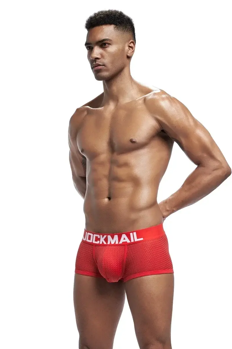 4PCS/Lot Boxer Men Mesh Breathable Boxershorts Men Underwear Shorts Panties Men Cuecas Boxer Underpants Calzoncillos — image 20