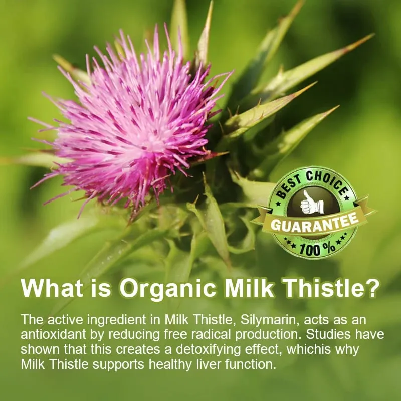 Milk Thistle Liver Capsules 315Mg - Promotes Energy Production Liver Health Digestive Health and Strengthens Immunity — image 3