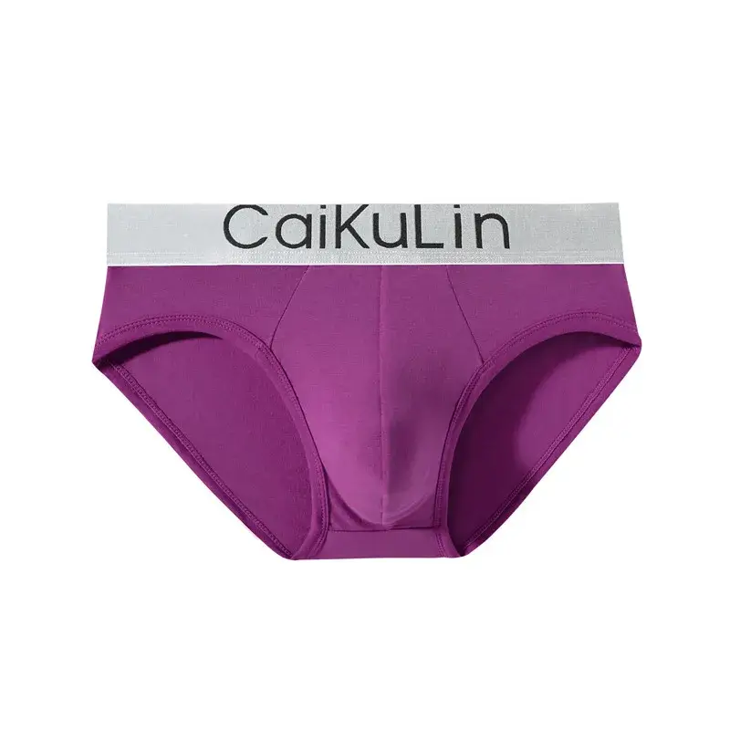 2026 Hot Men Briefs Sexy Men's Breathable Brief Underpants Modal Comfortable Men Soft Briefs Solid Shorts Male Panties — image 8