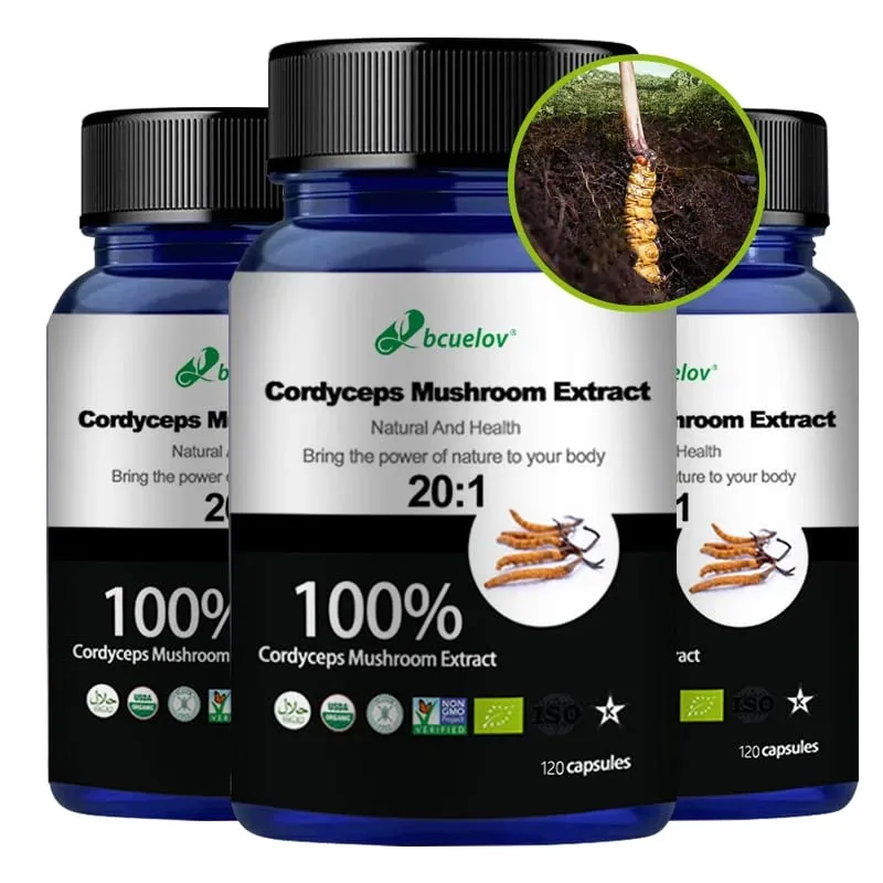 Pure Cordyceps Mushroom Extract Supplement - Improve Energy Respiratory Immune Kidney Health Support Vegetarian Capsules — image 6