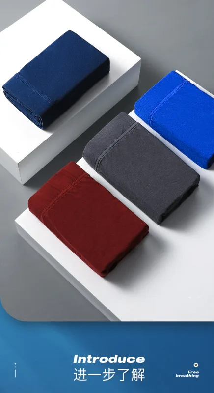 Intimo da uomo, slip da uomo, mutande modali sottili estive, fascino sessuale, pantaloncini traspiranti a vita bassa da uomo di grandi dimensioni — image 15