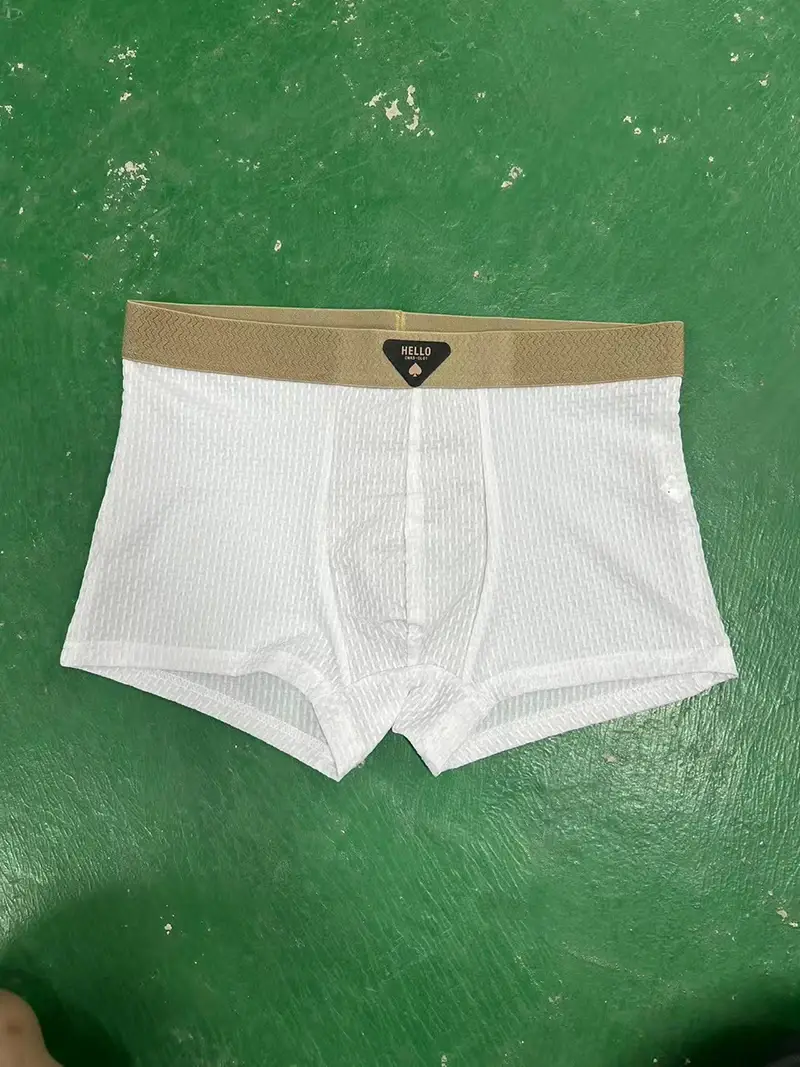 4pcs Men's Boxer Shorts Ice Silk Underwear Underpants Cool Breathable Sexy Slim Panties Mesh Lingerie — image 6