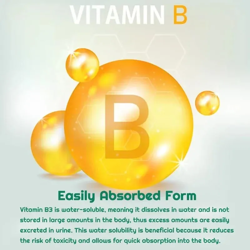 Niacinamide Vitamin B3 Capsules - Supports Skin Brain Function and Heart Health Boosts Energy and Improves The Immune System