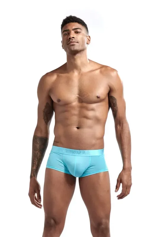 Sexy Underwear Men Boxer Panty Shorts Ice Silk Original Panties Breather Boxer Briefs Ultra-thin Transparent Fun Gay Underwear — image 8
