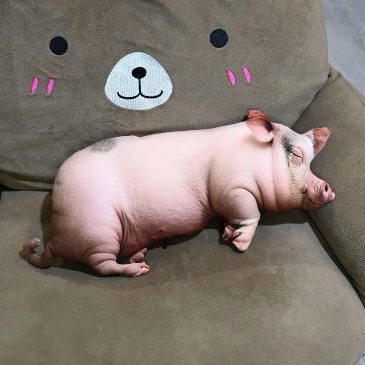 【In Stock】Cute Lifelike Simulation Pig Plush Toy Soft Sleeping Pillow Holiday Gift For Close Friends Home Sofa Decor Cushion
