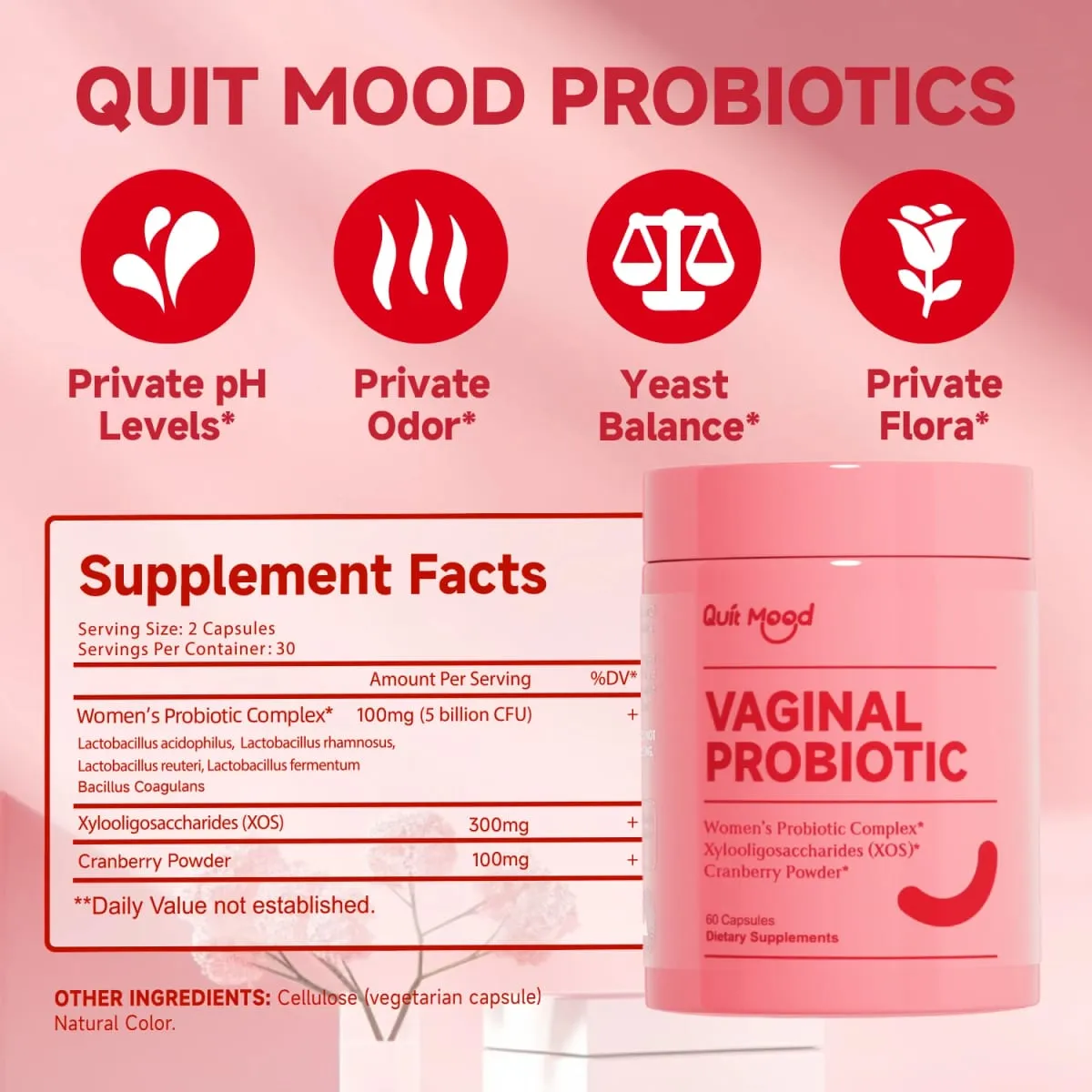 Probiotics for Women PH Balance with Prebiotics and Lactobacillus Probiotic Blend - Promote Healthy Odor and Flora — image 2