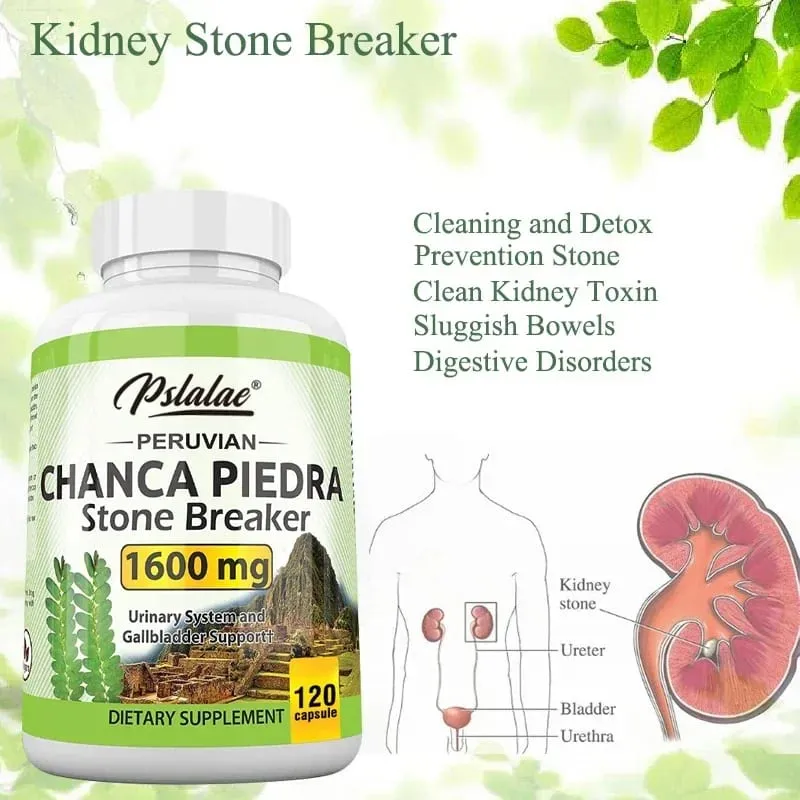 Chanca Piedra Capsules 1600mg - Kidney Stone Crushing Urinary Tract Support Non-GMOSupplements — image 6