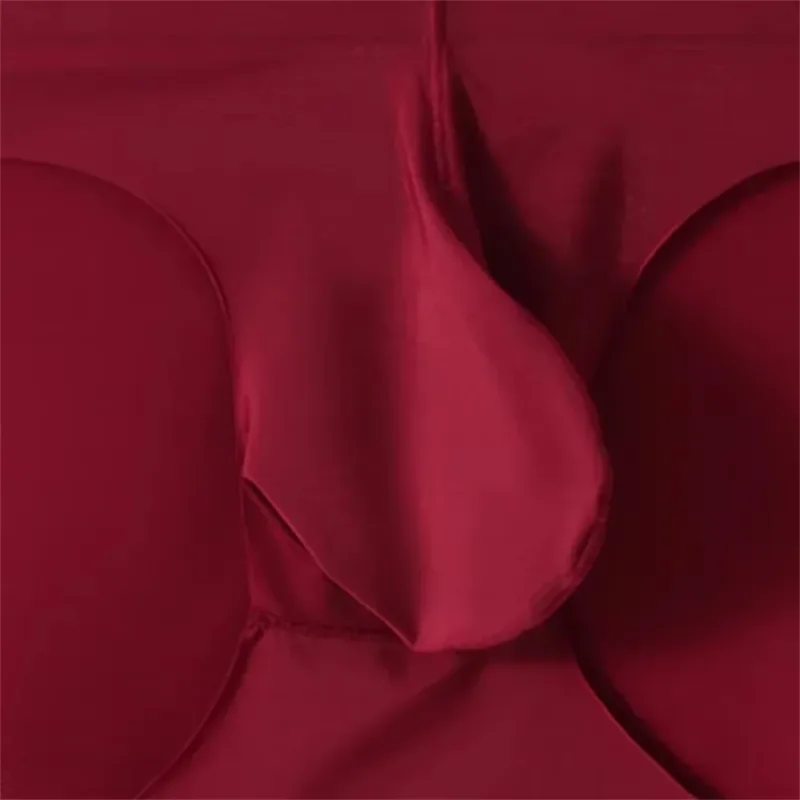 Men's Ice Silk Seamless Briefs Summer Cooling Pouch Underwear Sport Breathable Quick-Dry Anatomical Design Trunks Plus Size
