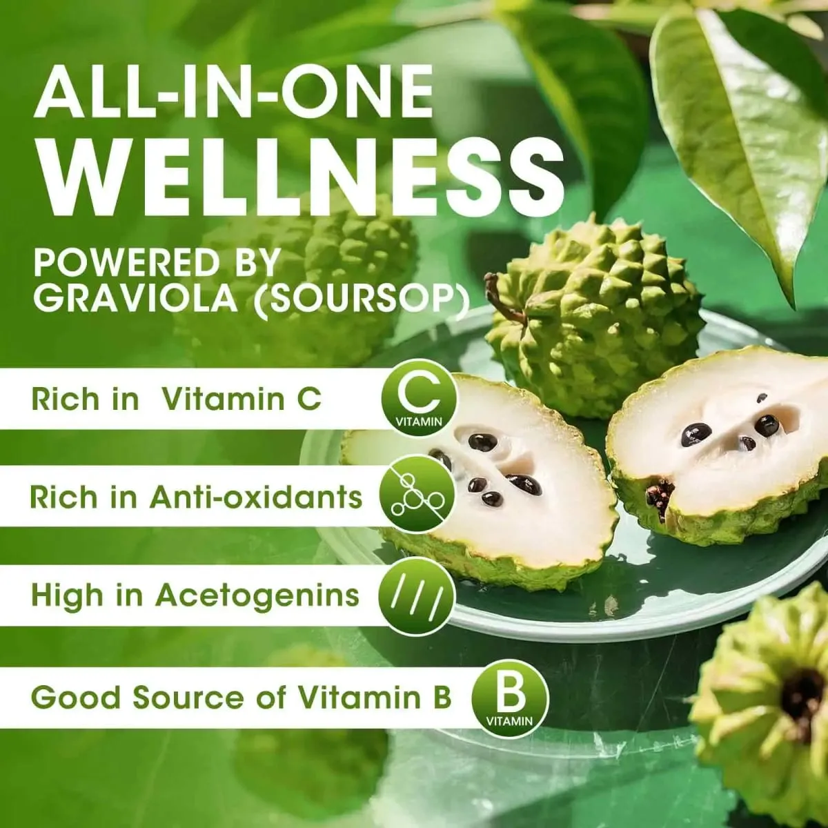 Organic Soursop Graviola Liquid Drops for Natural Antioxidant Cell Support & Regeneration Immune Boost Rich in Multivitamin — image 2