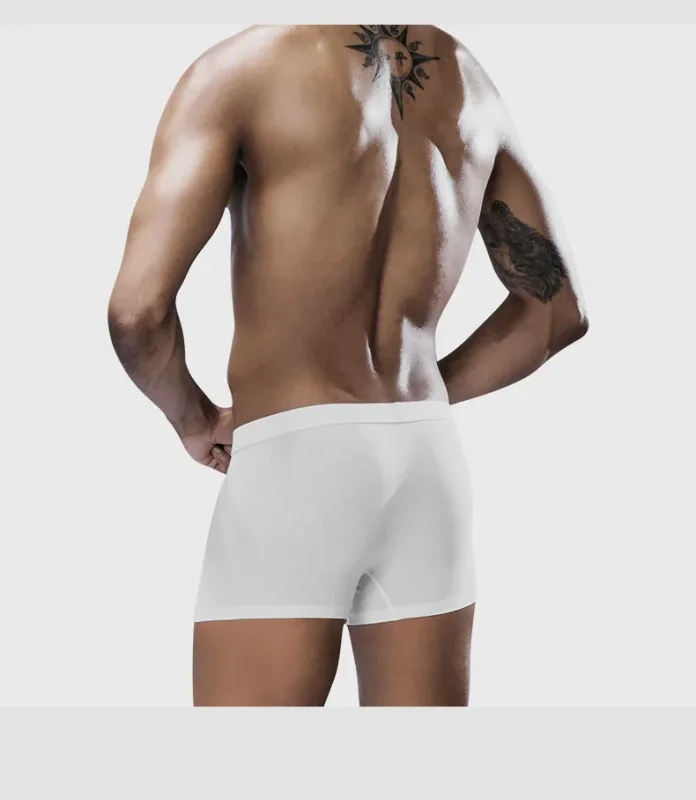 1pc/3pcs Set biancheria intima da uomo boxer in cotone pantaloncini U Pouch mutandine mutande da ragazzo maschio abbigliamento giovanile Homme intimo di lusso — image 11