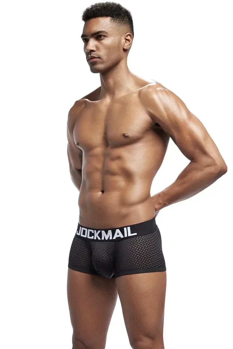 4PCS/Lot Boxer Men Mesh Breathable Boxershorts Men Underwear Shorts Panties Men Cuecas Boxer Underpants Calzoncillos — image 15