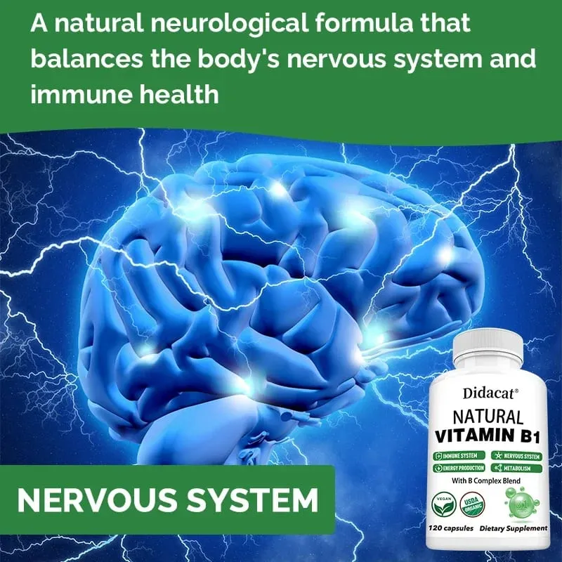 Didacat Vitamin B1 Helps The Immune System Nervous System Energy Support Dietary Supplement — image 6