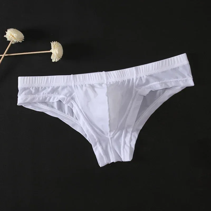 Men's Sexy Transparent Low-Waist Briefs Breathable Bulge Pouch Underpants Brief Underwear Man Panties 1pc