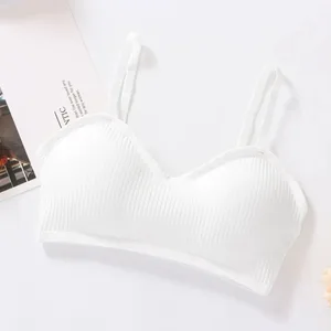 패션 폴리 에스터 코튼 여성 스포츠 브래지어 강철 프레임 없음 통기성 슬링 캐미솔 조끼 숙녀 섹시한 브래지어 여성