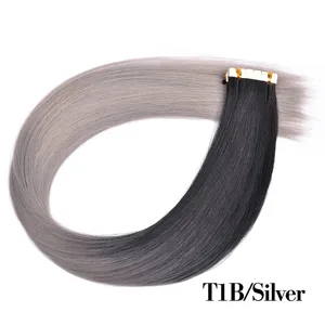 T1B Silver