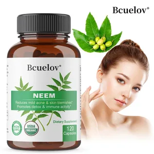 Cápsulas de Neem orgânico - Suplementos de ervas para acne que apoiam a pele clara e a desintoxicação - Vegano, sem OGM, sem glúten