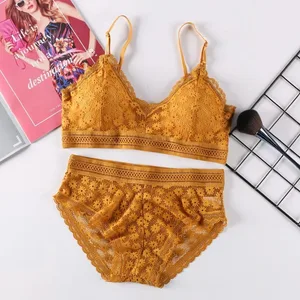Femmes Lingerie soutien-gorge push-up ensemble de sous-vêtements Sexy dentelle ensemble de Lingerie femme ensemble de sous-vêtements dentelle soutien-gorge culotte sous-vêtements sans couture femmes