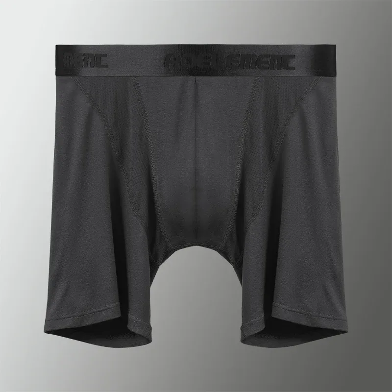 Sous-vêtements de sport pour hommes, anti-frottement, modal, professionnel, course à pied, fitness, ajusté, jambes longues, séchage rapide, boxer allongé