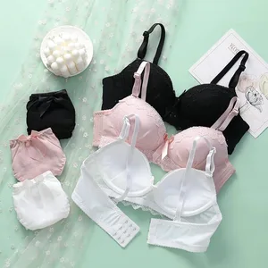 Verão novo sexy feminino conjunto de sutiã bonito moda sem fio reunir roupa interior confortável calcinha macio push up superior rendas lingerie conjunto