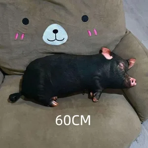 60cm A6