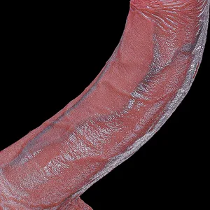 Realistischer Anal Neuer Dildo Buttplug Prostata-Massagegerät mit Saugnapf Penis für Anfänger Sexspielzeug für Frauen Anal Vaginal Masturba
