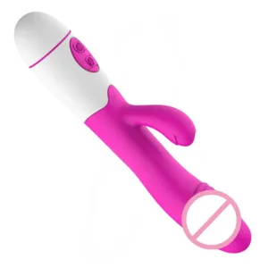 Silikon G-Spot Rabbit Vibrator Dwi Getaran Pengurut Klitoris 10 Kelajuan Mainan Seks Keseronokan Kalis Air Boleh Dicas semula untuk Wanita
