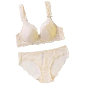 Ensemble de soutien-gorge Push Up en dentelle à armatures pour femmes, ensemble de Lingerie confortable, motif Floral solide, Bralette, adapté aux bonnets A/B/C